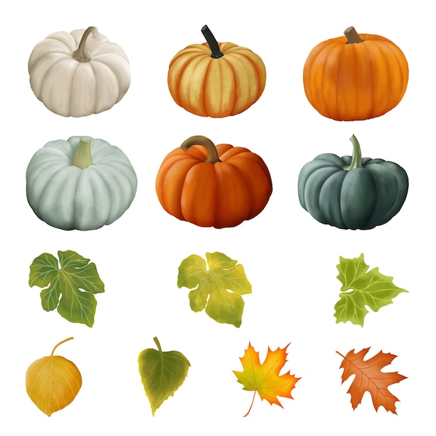 Set with autumn vegetables pumpkins autumn leaves Illustration for backgrounds printing postcards packaging web