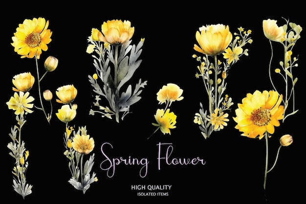 A set of yellow flowers on a black background with the words spring flower.