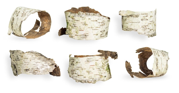 Setset different options and forms birch bark on an empty background