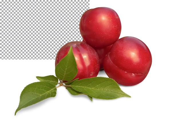 Several red ripe plums and green leaves isolated on a transparent background