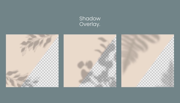 Shadow Overlay Collection