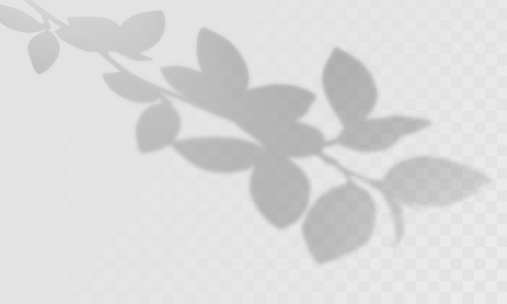 PSD 陰影覆蓋效果 光覆蓋效果