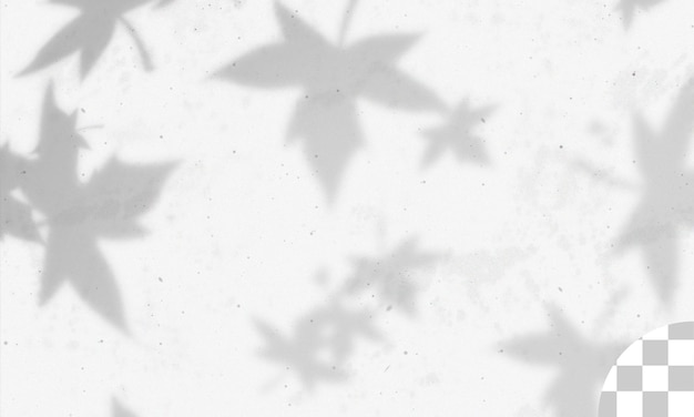 Shadow overlay effect