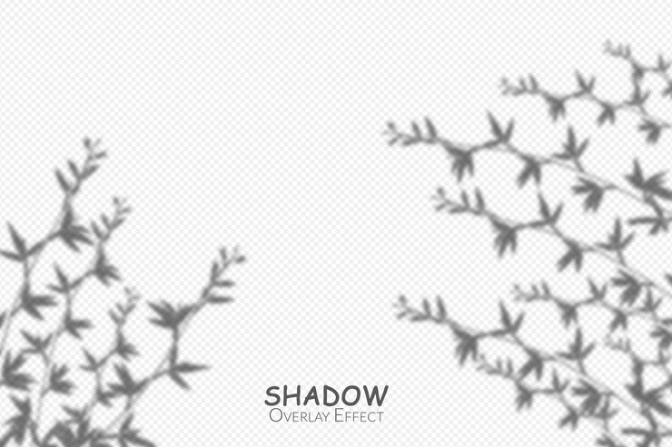 PSD shadow overlay transparent effect
