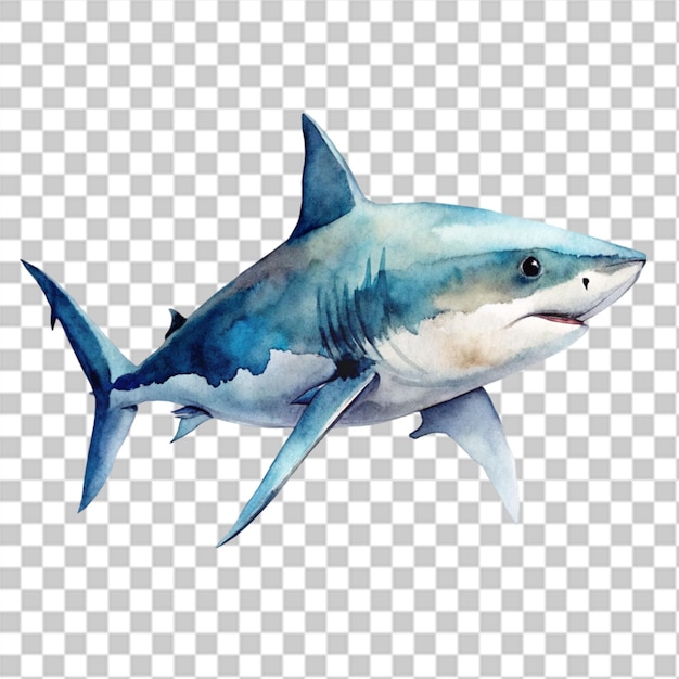 PSD shark watercolor png