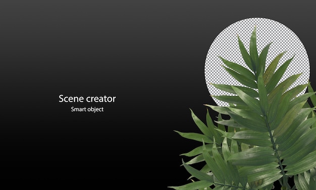 PSD sharp leaves clipping path green leaves for scene decoration