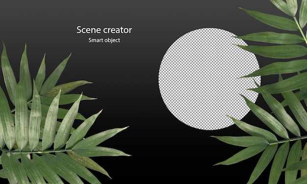 sharp leaves clipping path green leaves for scene decoration