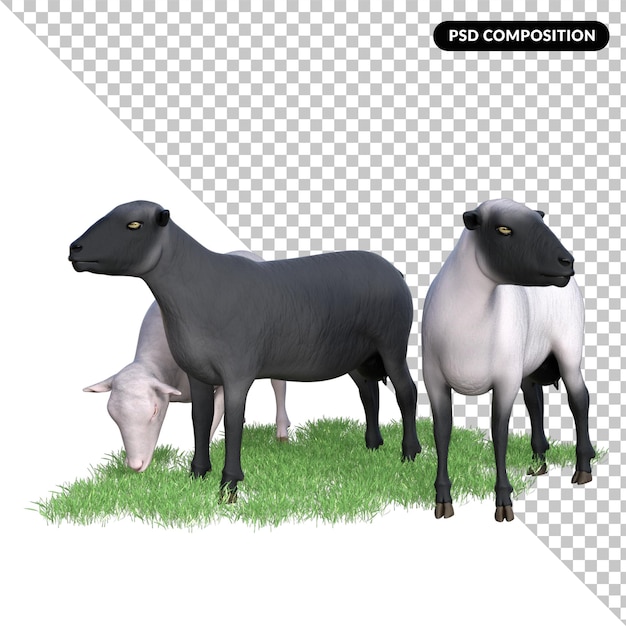 PSD sheep animal isolated 3d