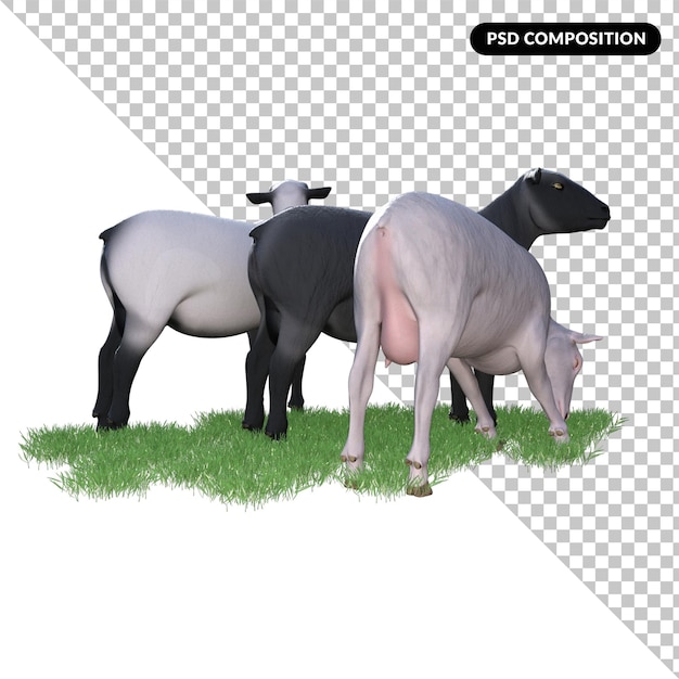 PSD animale ovino isolato 3d