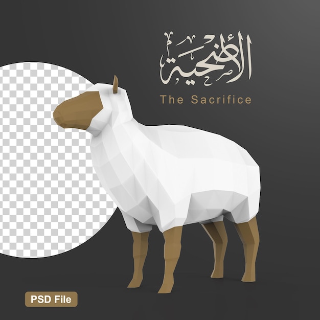 Sheep for islamic celebration day and eid al adha