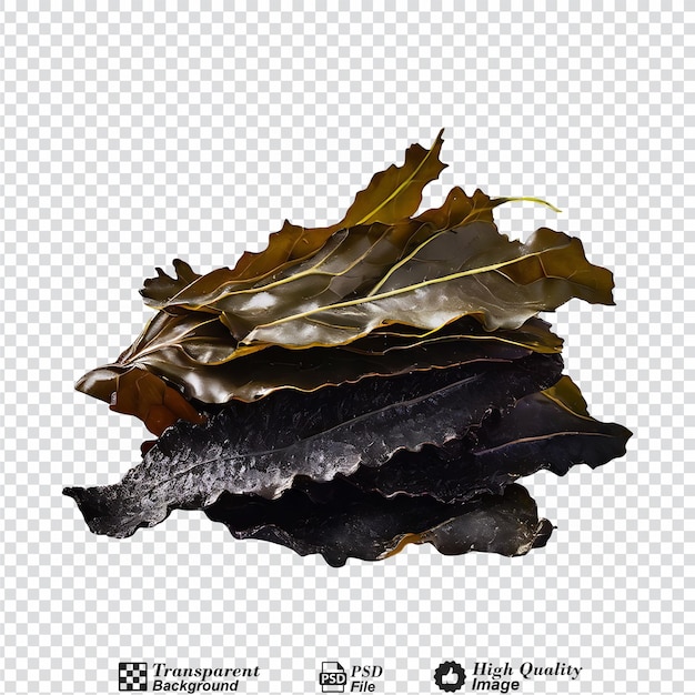 PSD sheet of dried seaweed isolated on transparent background