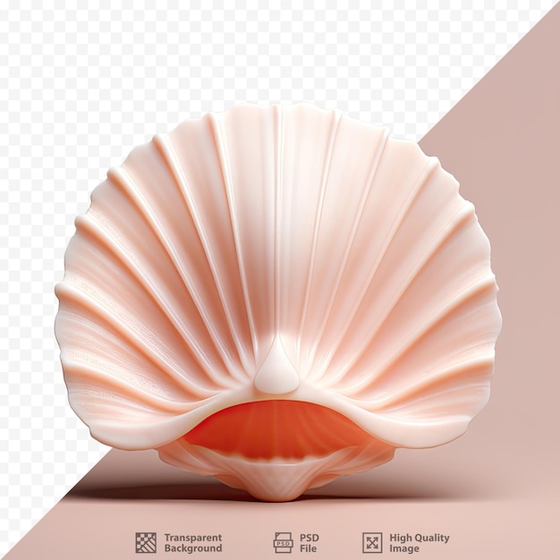 A shell with the word shell on it