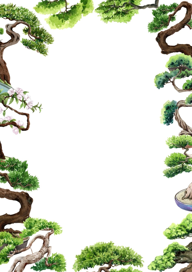 PSD shimpaku juniper bonsai vertical frame watercolor painting handdrawn