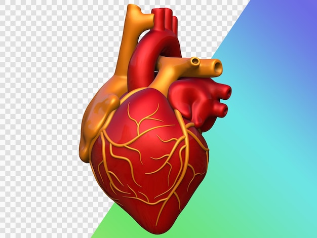 Rendering 3d realistico del cuore umano brillante