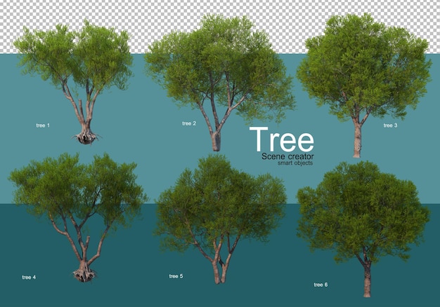 PSD Покажите результаты разнообразных расположений деревьев