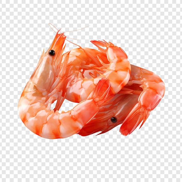 PSD shrimp isolated on transparent background