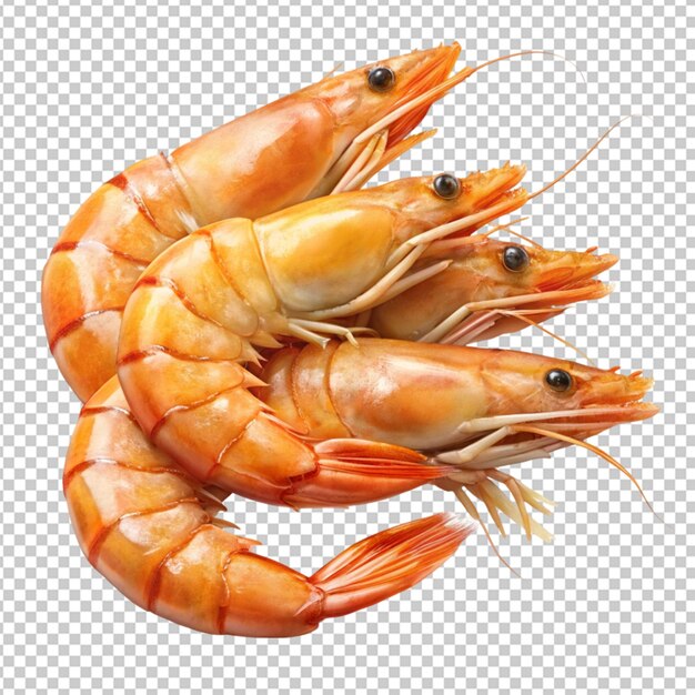 PSD shrimps isolated on alpha layer background