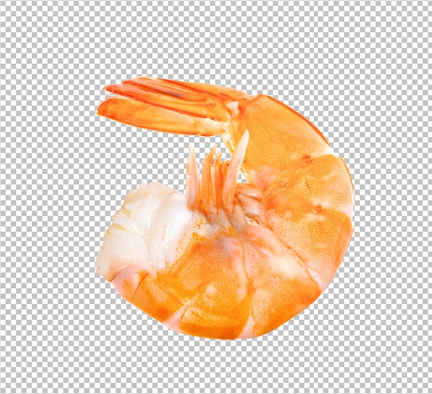 Shrimps isolated on alpha layer