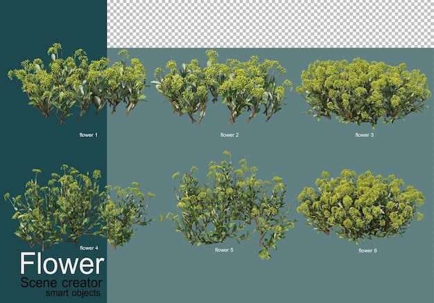 다양한 종류의 꽃에 관목 배열