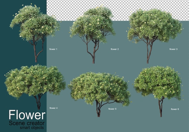 다양한 종류의 꽃에 관목 배열