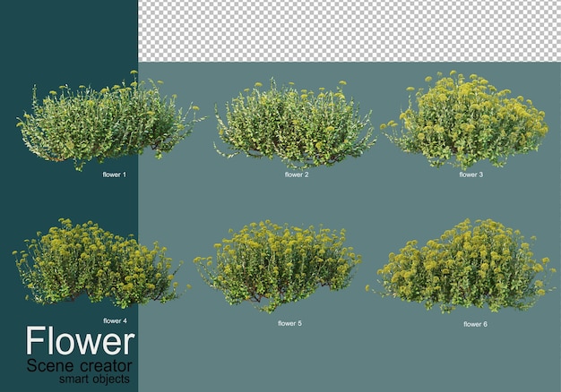 PSD shrub arrangement in many types of flowers