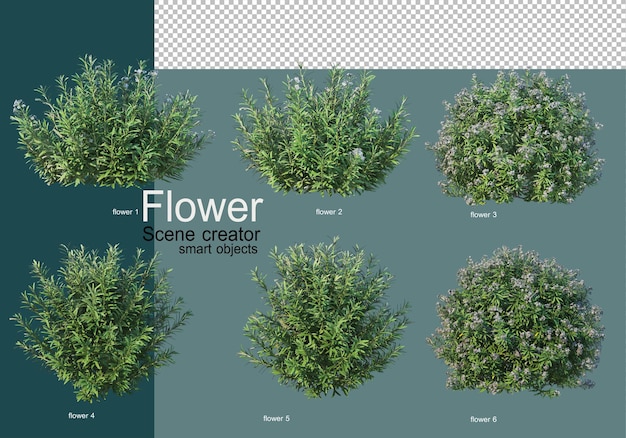 Shrub arrangement in many types of flowers