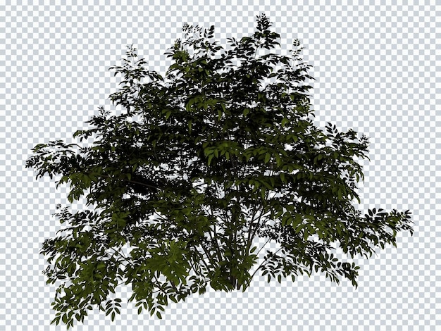 Shrub bushes plants mockup