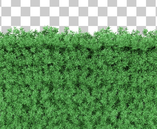 PSD shrub grass field corner top view 3d rendering