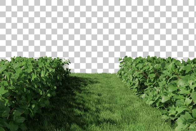 Shrub plants scene isometric 3d rendering scene