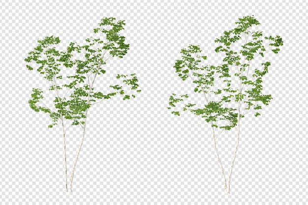 PSD shrubs in 3d rendering isolated