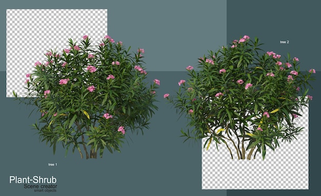 Shrubs and trees of various kinds