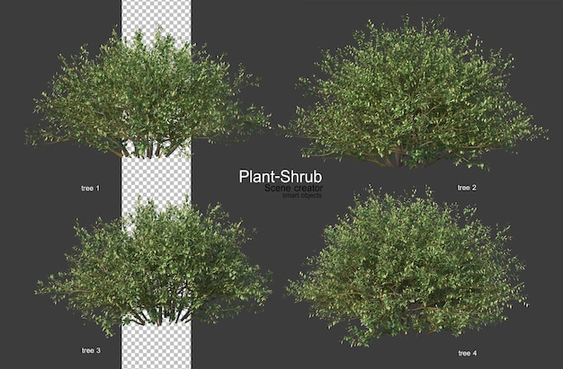 PSD shrubs and plants of various varieties