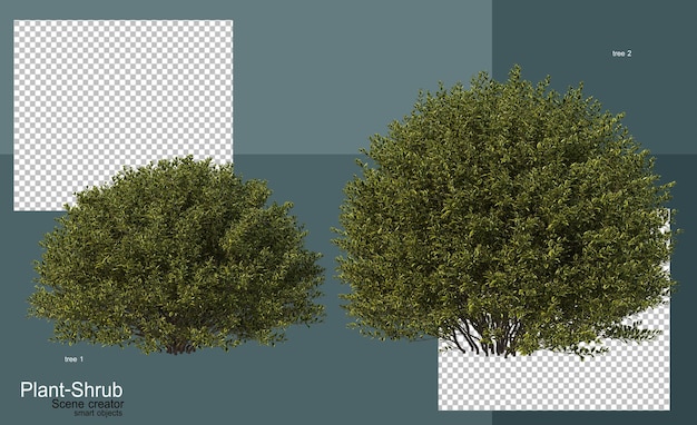 PSD shrubs and trees of various kinds