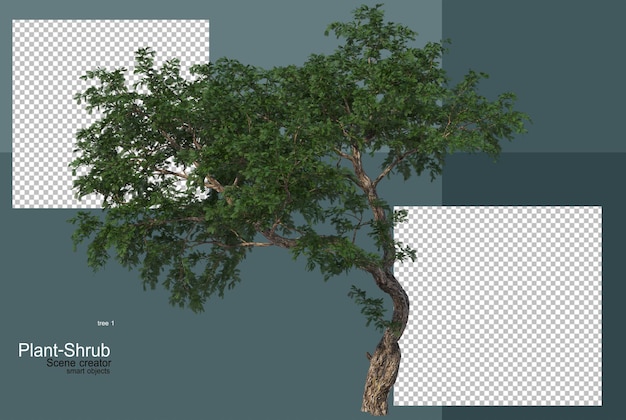PSD shrubs and trees of various kinds