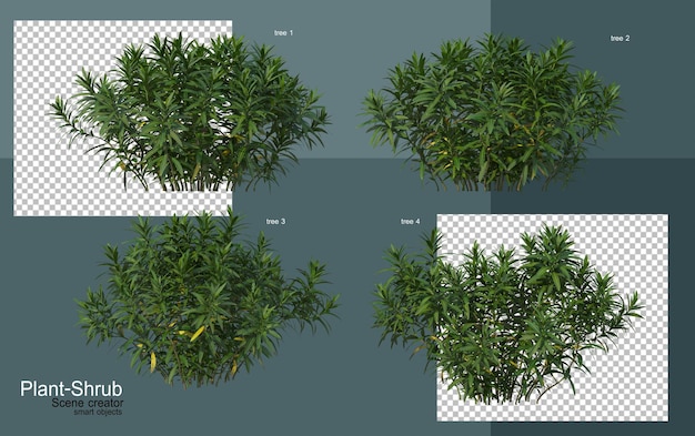 PSD shrubs and trees of various kinds