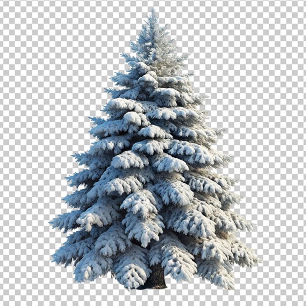 PSD side view of a snowcovered pine tree