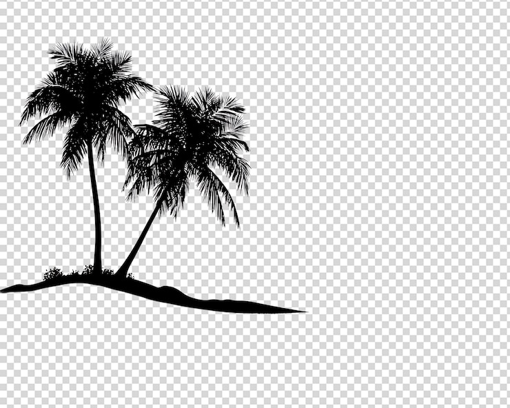 PSD silhouette of two palm trees on a beach