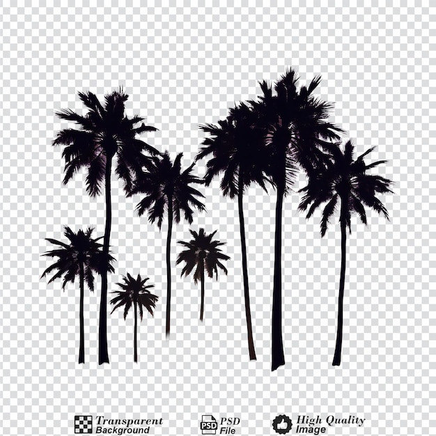 PSD silhouettes of palm trees isolated on transparent background