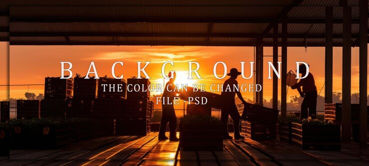 PSD silhouettes of workers loading produce at sunset