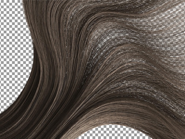 PSD silky girl black hairs with transparent background