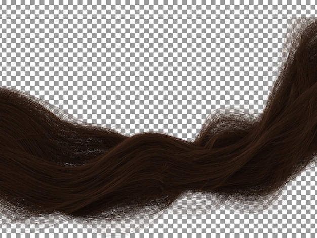 PSD silky girl dark brown hairs with transparent background