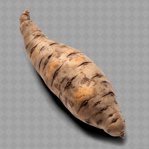 PSD a single carrot with a brown and white pattern on its top