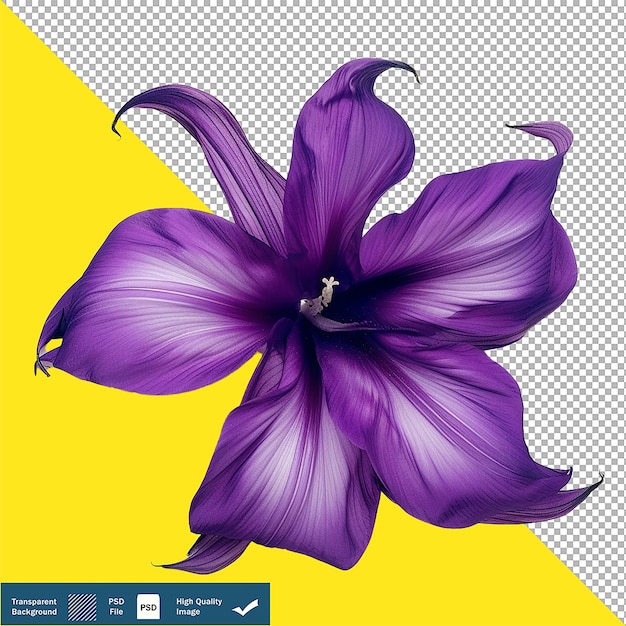 Single exotic purple flower on transparent background png psd