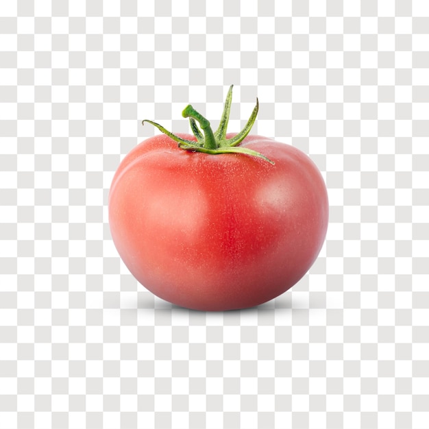 Single fresh organic tomato no background