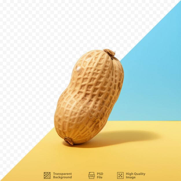 PSD single peanut against transparent background