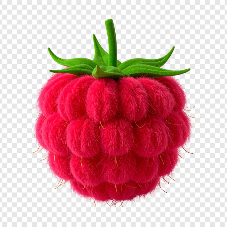 PSD single red raspberry isolated on transparent background