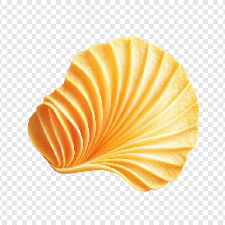 PSD a single rippled potato chip isolated on a transparent background showcasing its unique texture and goldenyellow color a captivating image of crisp perfection