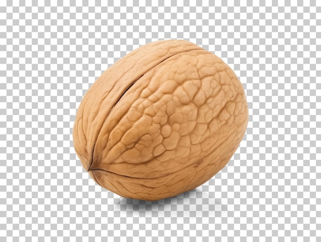 PSD single walnut isolated on transparent background png psd