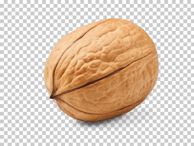 PSD single walnut isolated on transparent background png psd