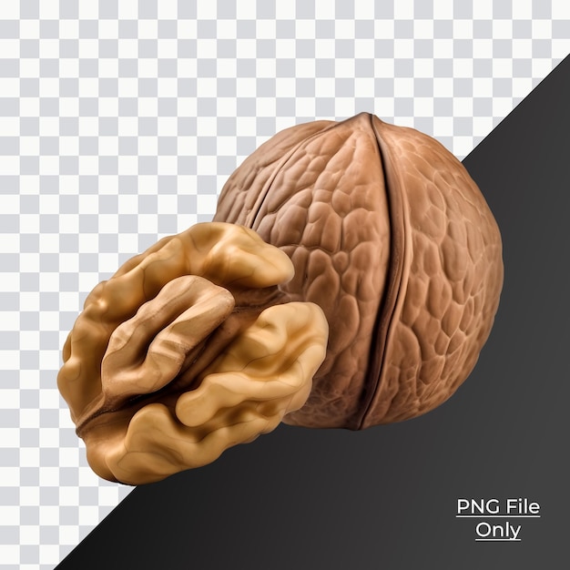 Single walnut soft smooth lighting only png premium psd